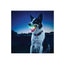 Niteize Glowstreak Led Ball Disc-O Multicolor GSB-07-R7 - foto 2