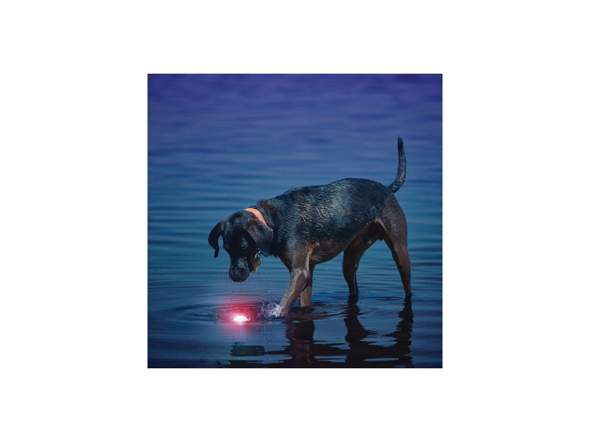 Niteize Glowstreak Led Ball Red GSB-10-R7 - foto 2