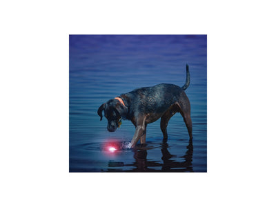 Niteize Glowstreak Led Ball Red GSB-10-R7 - foto 2