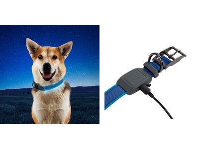 Niteize Nitedog Rechargeable Led Collar Large Blue NDCRL-03-R3 - foto 2