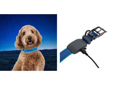 Niteize Nitedog Rechargeable Led Collar Medium Blue NDCRM-03-R3 - foto 2