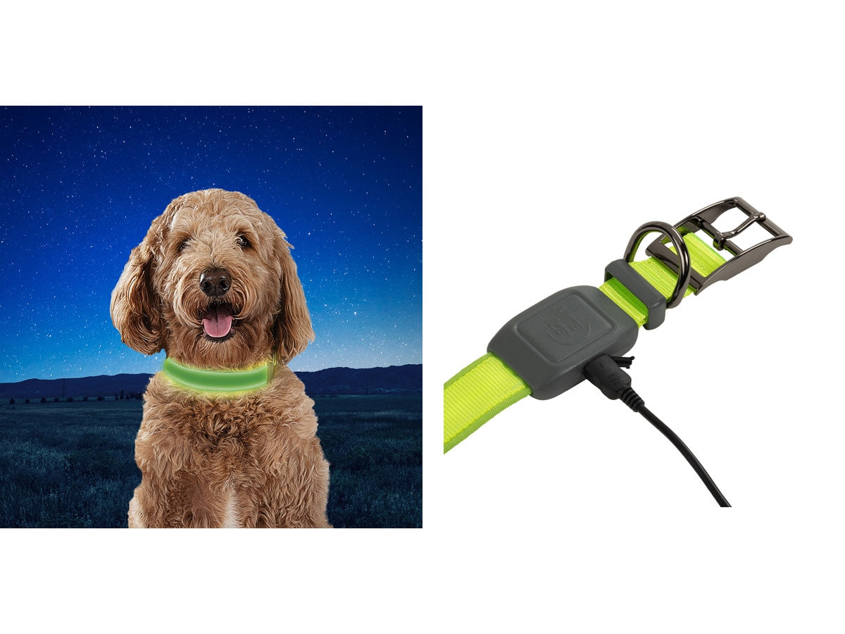 Niteize Nitedog Rechargeable Led Collar Medium Lime NDCRM-17-R3 - foto 2