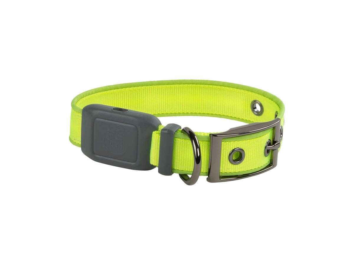 Niteize Nitedog Rechargeable Led Collar Small Lime NDCRS-17-R3