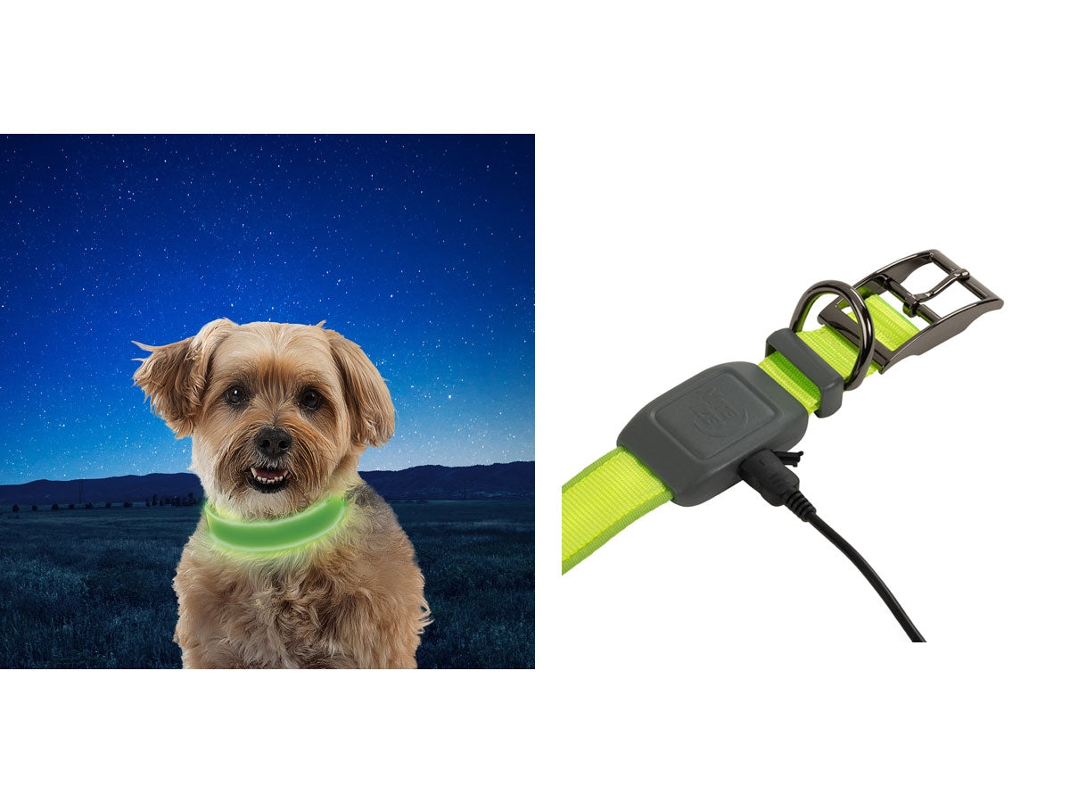 Niteize Nitedog Rechargeable Led Collar Small Lime NDCRS-17-R3 - foto 2