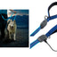 Niteize Nitedog Rechargeable Led Leash Blue NDLR-03-R3 - foto 2