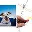 Niteize Nitehowl Led Safety Necklace Blue NHO-03-R3 - foto 2