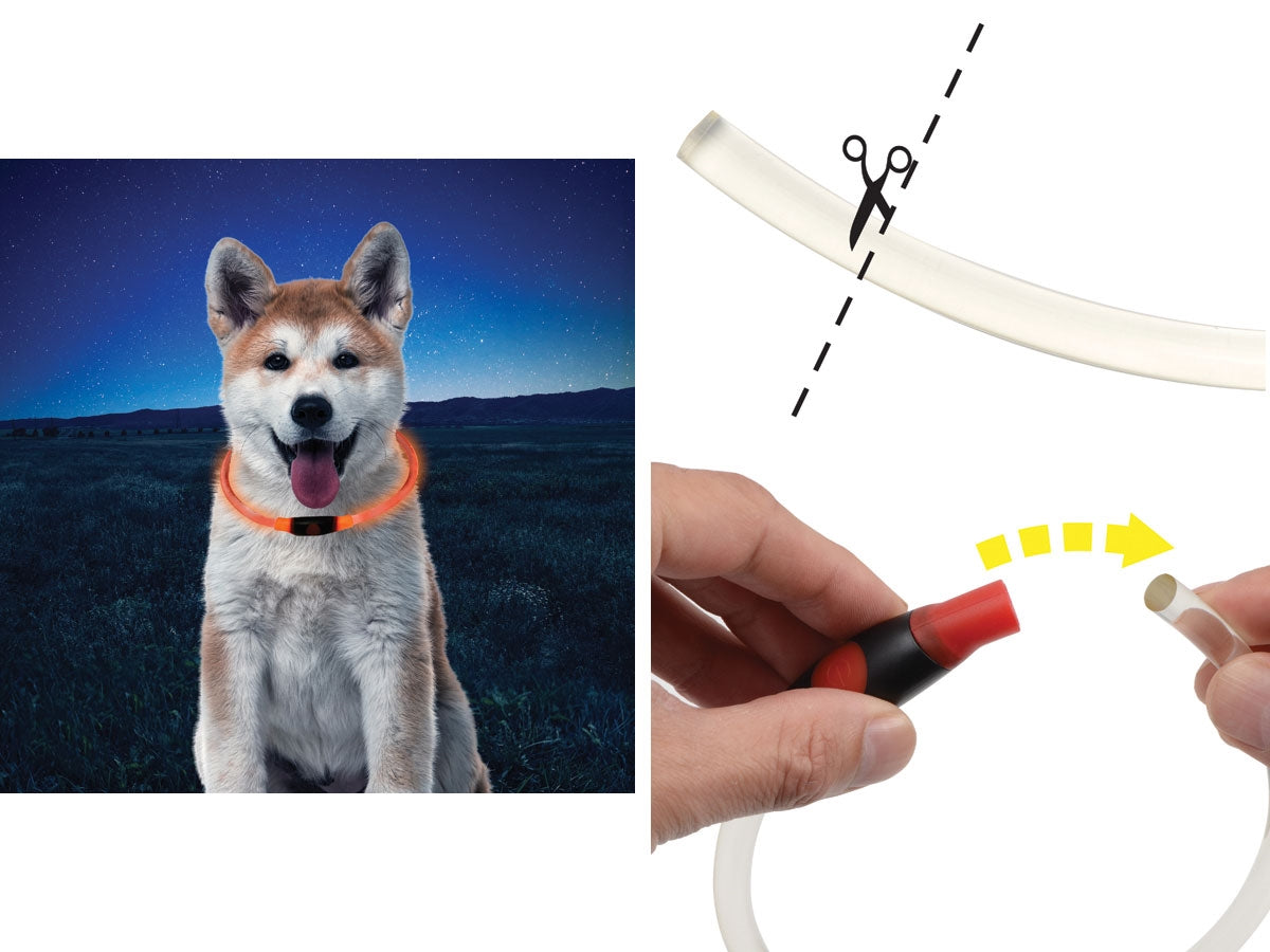Niteize Nitehowl Led Safety Necklace Orange NHO-19-R3 - foto 2