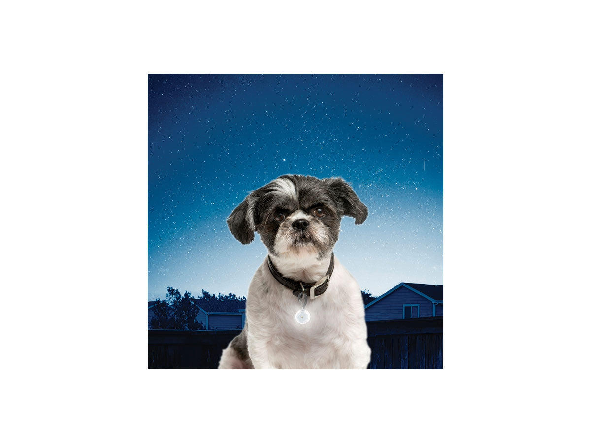 Niteize Petlit Collar Light Crystal Jewel PCL02-03-02JE - foto 2