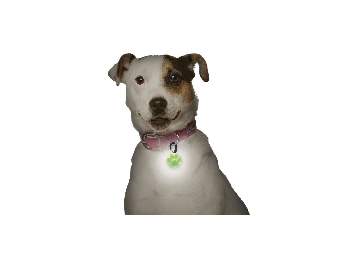 Niteize Petlit Collar Light Lime Paw PCL02-03-17PA - foto 2