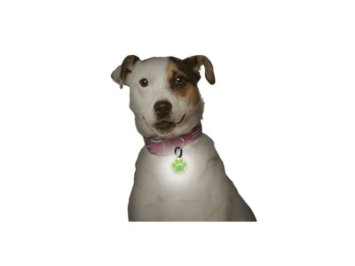 Niteize Petlit Collar Light Lime Paw PCL02-03-17PA - foto 2