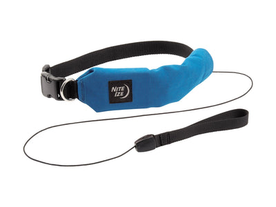 Niteize Raddog All-In-One Collar+Leash Large Blue RRLL-03-R3