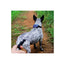 Niteize Raddog All-In-One Collar+Leash Large Blue RRLL-03-R3 - foto 2
