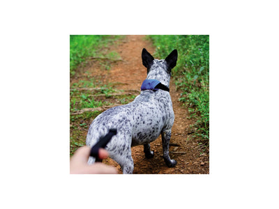 Niteize Raddog All-In-One Collar+Leash Large Blue RRLL-03-R3 - foto 2