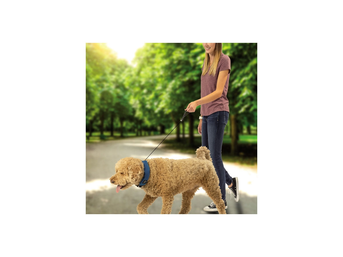 Niteize Raddog All-In-One Collar+Leash Medium Blue RRLM-03-R3 - foto 2