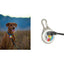 Niteize Spotlit Rechargeable Collar Light Jewel PSLGSRJ-07S-R6 - foto 2