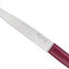 Opinel Bon-Appétit Plus Glam Set 4 Tavola colorati (002197) - foto 2