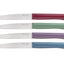 Opinel Bon-Appétit Plus Glam Set 4 Tavola colorati (002197) - foto 3