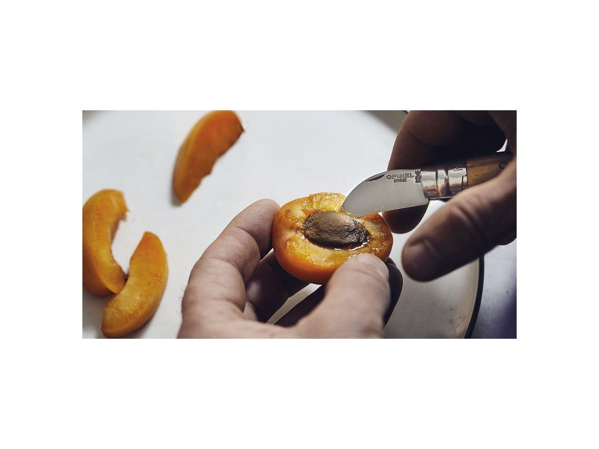 Opinel Castagne / Aglio N°07 Inox (002360) - foto 3
