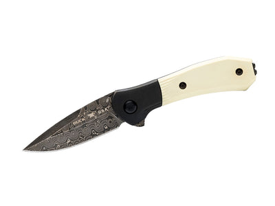Buck Paradigm Ivory G10 Damascus 590Ivsle Limited Edition