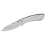 Buck Mini Sovereign Steel Ss 743Sss