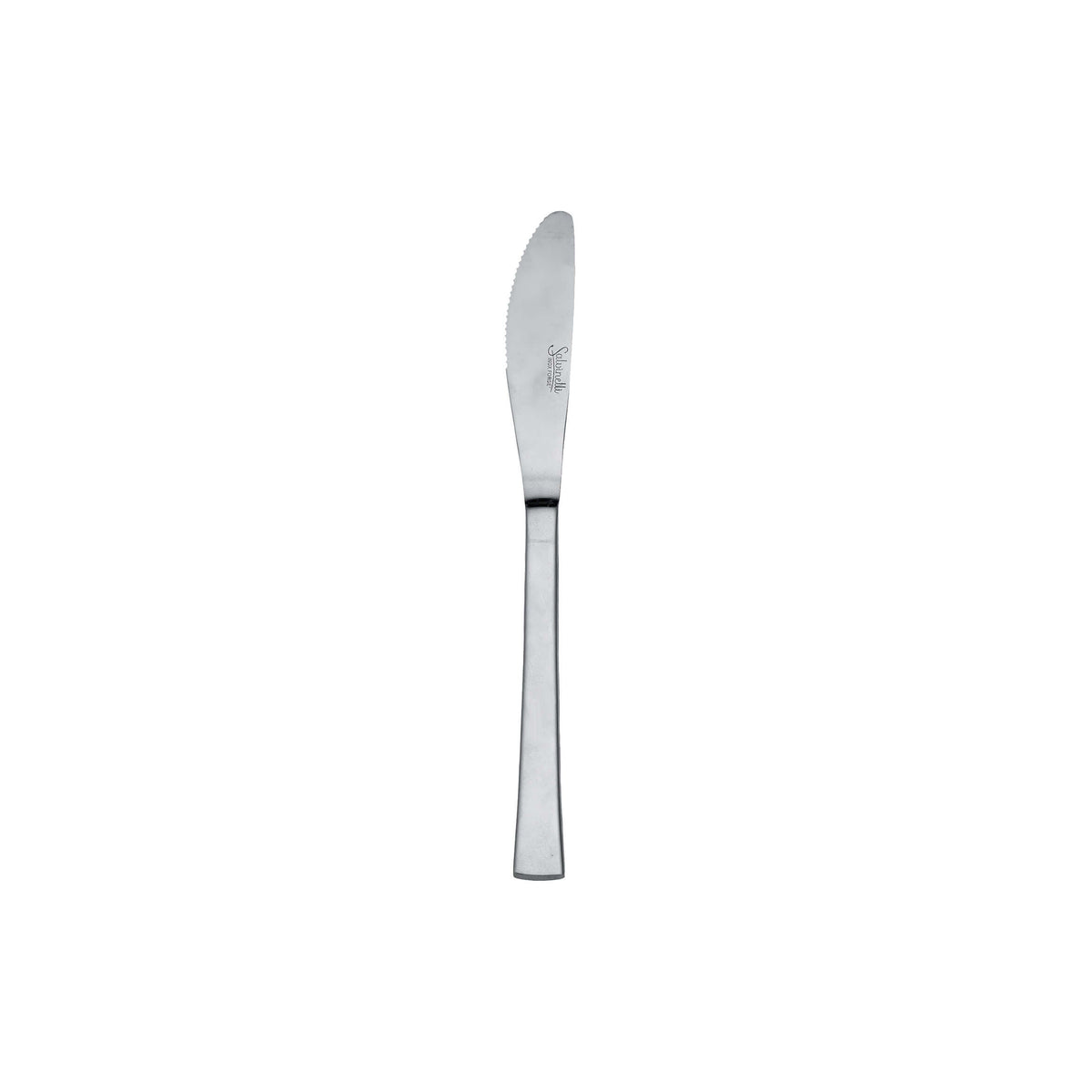 Salvinelli Lara Coltello da Frutta Manico Pieno Inox 18/10 12 Pezzi