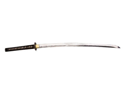 Gladius Replica Katana Per Pratica Nera con Kit Pulizia e Custodia Legno - foto 2