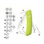 Swiza D04 Moss (KNI.0040.1080) - foto 2