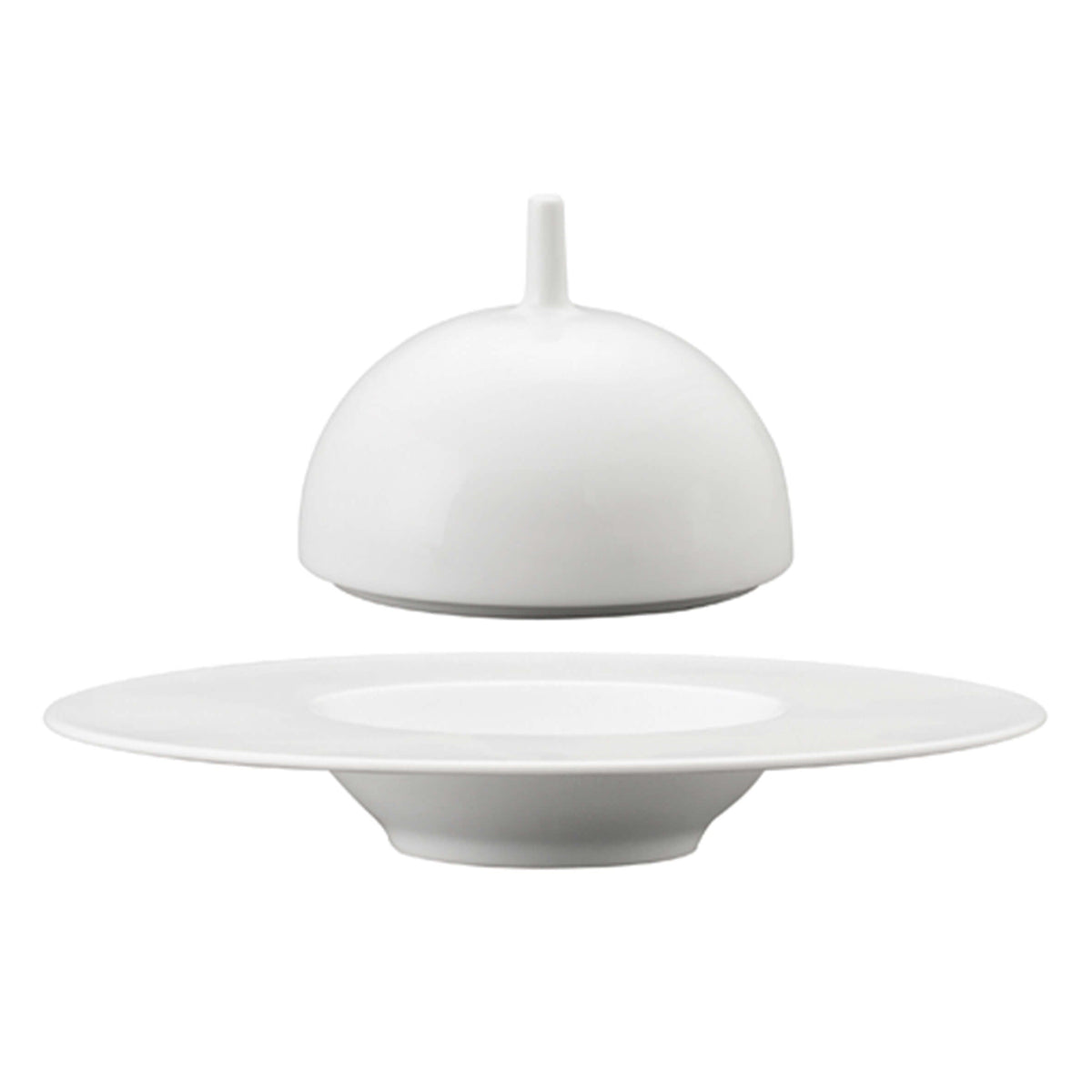Saturno Cloche per Piatto Fondo Gourmet 29 cm 4 Pezzi
