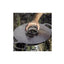 Petromax accessorio piastra Atago ATAGO-PLATE-C supporto cottura fiamma