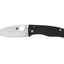 Spyderco Bodacious C263GP lama foglia flat grind acciaio inossidabile, manico G-10, Sal Glesser