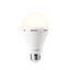 NEBO BLACKOUT BACKUP lampadina LED di emergenza ricaricabile ARE-0003