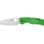 Spyderco Native Chief Salt C244PGR lama LC200N flat anticorrosione manico FRN verde - vista principale