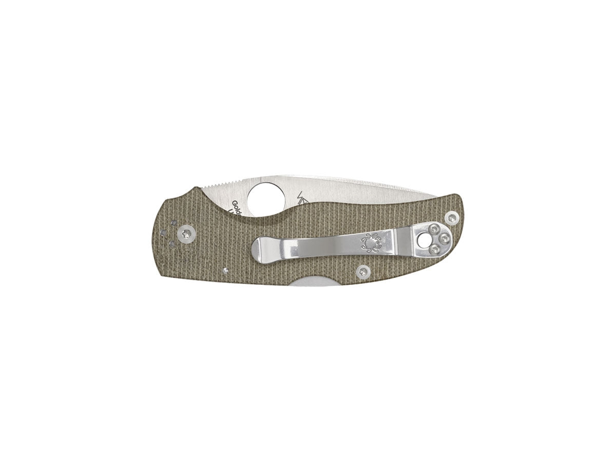 Spyderco Native 5 C41MPCW5 lama CPM CRU-WEAR canvas Micarta marrone Back Lock - dettaglio lama