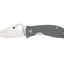 Spyderco Alcyone C222GPGY lama CTS BD1N americana piatta, manico G-10 grigio