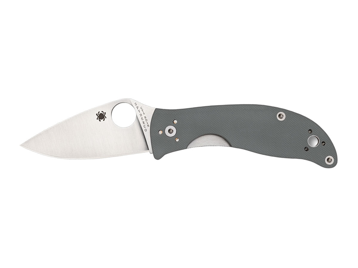 Spyderco Alcyone C222GPGY lama CTS BD1N americana piatta, manico G-10 grigio