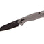 Buck Ferrox Silver Blk Blade 0698Gys-B