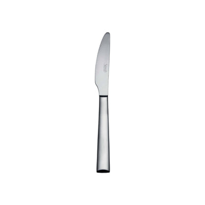 Salvinelli VIP Ice Coltello da Frutta Manico Pieno Inox 18/10 Satinato 12 Pezzi