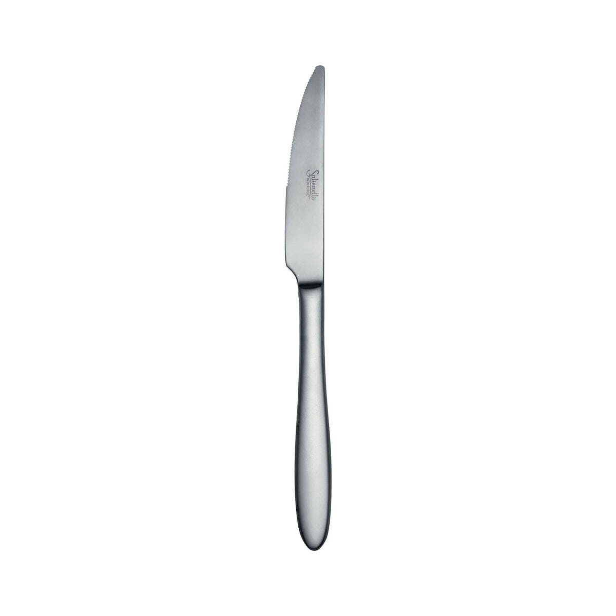 Salvinelli Fast Ice Coltello Tavola Bistecca Acciaio Inox 18/10 Satinato 12 Pezzi