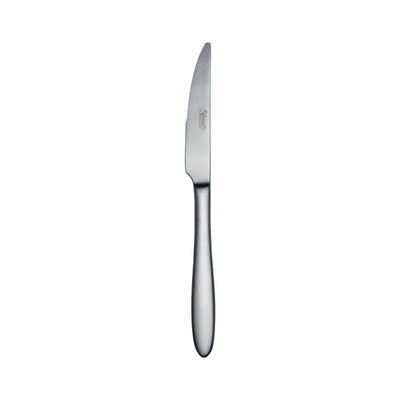 Salvinelli Fast Ice Coltello Tavola Bistecca Acciaio Inox 18/10 Satinato 12 Pezzi