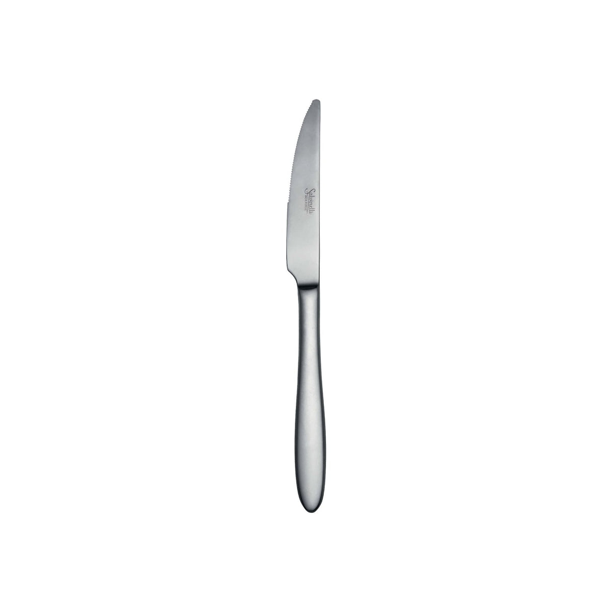 Salvinelli Fast Ice Coltello Frutta Acciaio Inox 18/10 Satinato Manico Pieno 12 Pezzi