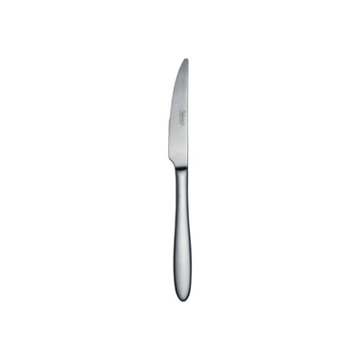 Salvinelli Fast Ice Coltello Frutta Acciaio Inox 18/10 Satinato Manico Pieno 12 Pezzi