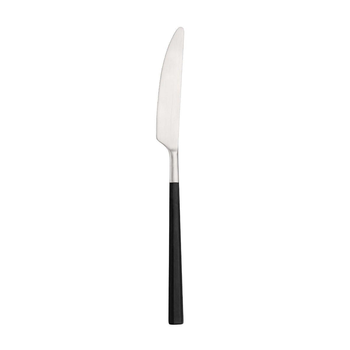 Pinti Hive Coltello da Tavola Acciaio Inox 18/10 Satinato 12 Pezzi