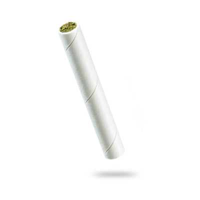 PROV-B00001573 OMURA 16 FLOWERSTICKS VUOTI