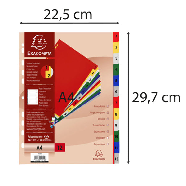 Divisori Numerici - 1-12 - PP opaco - A4 - colori assortiti - Exacompta