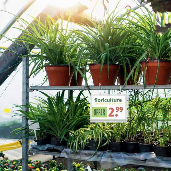 Busta impermeabile Outdoor - con fascette - A5 - Durable - conf. 5 pezzi