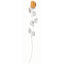Bagutta Rosa Silver Plated Arancione con Bordo Argentato e Astuccio Regalo 30 cm
