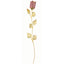 Bagutta Rosa Silver Plated Rosa con Bordo Dorato e Astuccio Regalo 30 cm