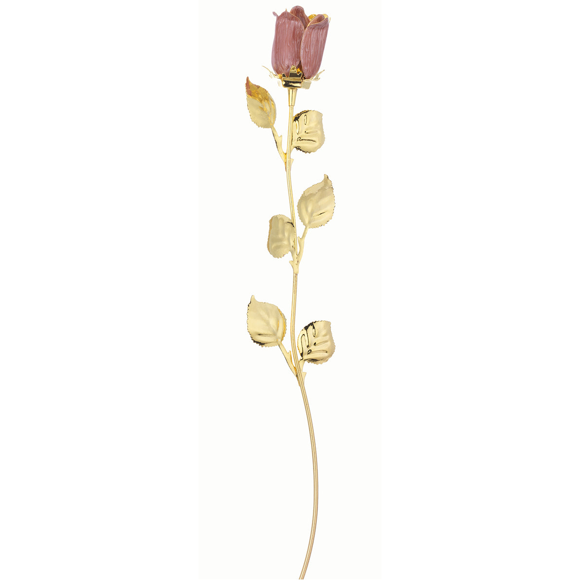 Bagutta Rosa Silver Plated Rosa con Bordo Dorato e Astuccio Regalo 30 cm