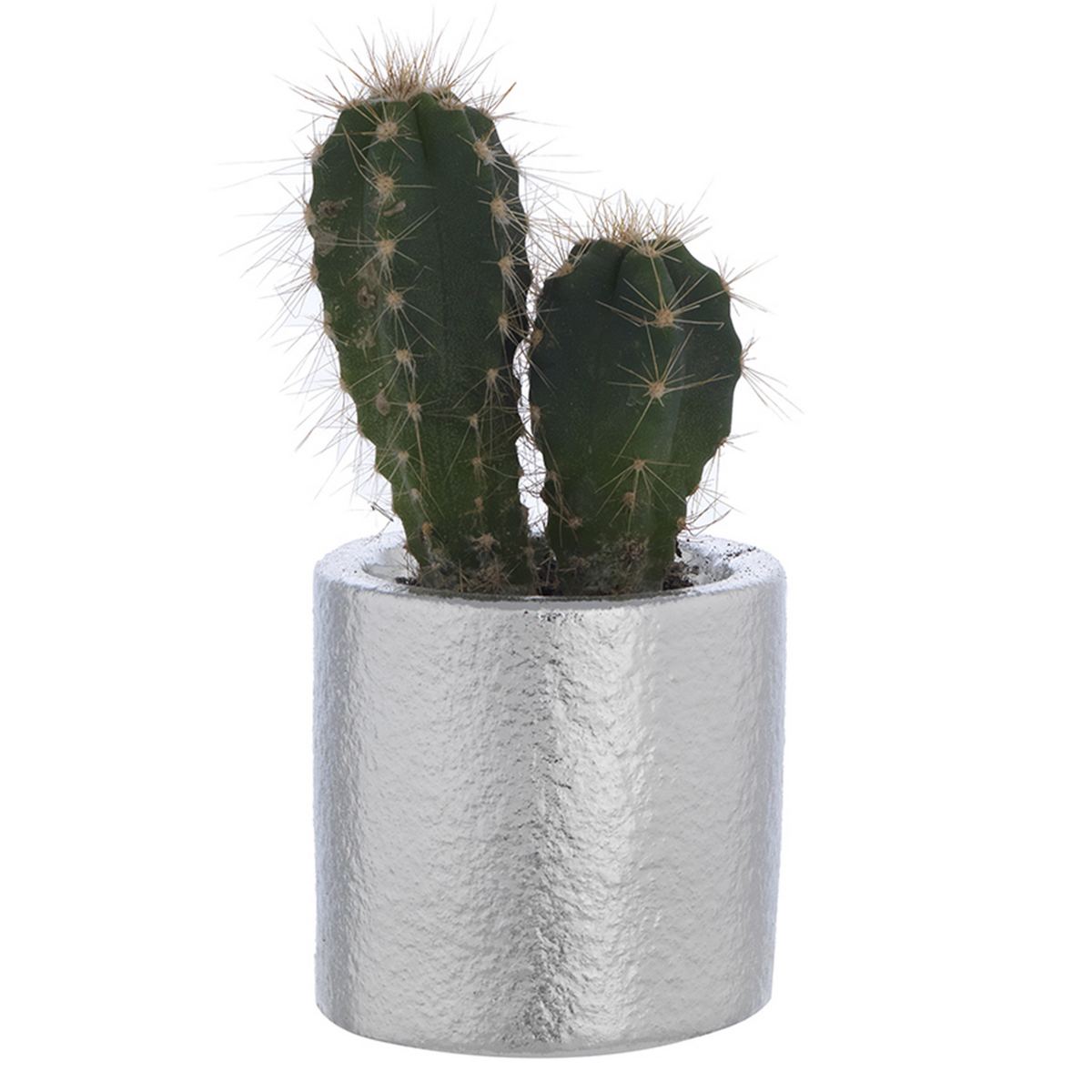 Bagutta Portavaso Cilindrico Argentato con Due Cactus