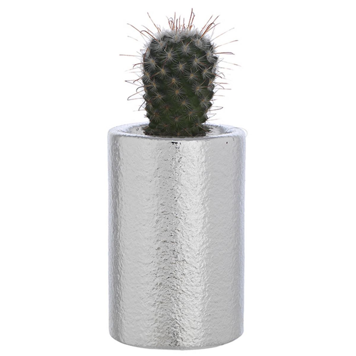 Bagutta Portavaso Cilindrico Argentato con Cactus